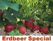 Erdbeerzeit - das Special (Foto. Martin Schmitz)